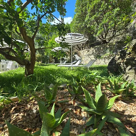 Sorriso 韦尔纳扎